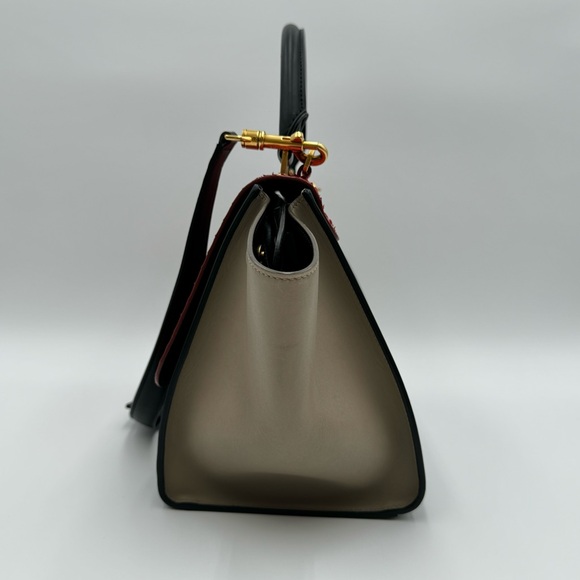 Celine Trapeze Medium Python Multi-Colored Shoulder Bag - Picture 6 of 11